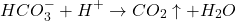 \[HCO_3^- + H^+ \rightarrow CO_2 \uparrow + H_2O\]
