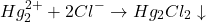 \[Hg_2^{2+} + 2Cl^- \rightarrow Hg_2Cl_2 \downarrow\]
